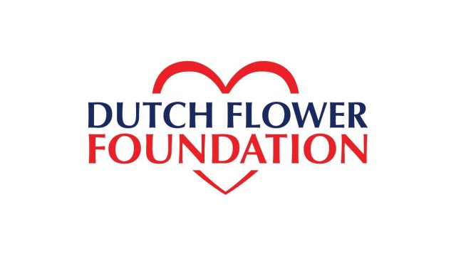 DFF logo witte achtergrond