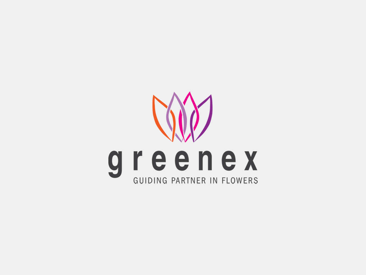 geschiedenis-thefloralconnection-logo-greenex-1280x960px-grijs