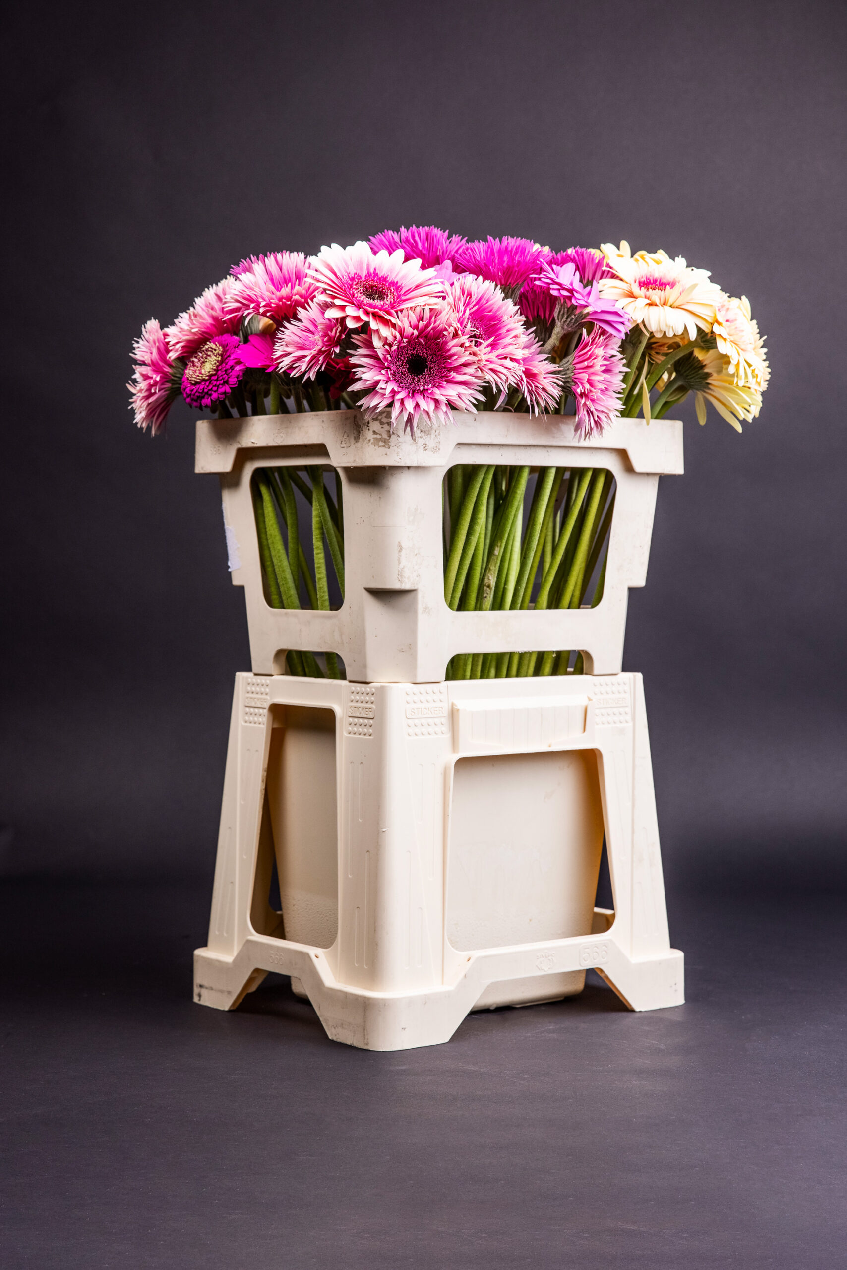 20210913-TheFloralConnection-8589-Web